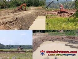 Galian C Ilegal di Pagelaran Utara, Pringsewu: DLH Akan Segera Panggil Pelaku