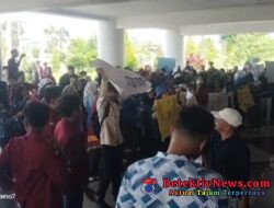 Pringsewu Memanas! Dua Hari Diguncang Aksi Massa, Kinerja Pemerintah Daerah Jadi Sorotan Tajam