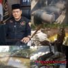 ‎Ketua GRIB Jaya Pesawaran HIKMADDIN Soroti Dugaan Pembiaran Tambang Emas Ilegal di Harapan Jaya