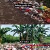 Sampah Menggunung di Pusat Kota: Di Belakang Rumah Dinas DPRD, Bersanding dengan Rumah Sakit