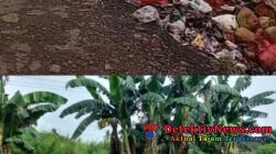 Sampah Menggunung di Pusat Kota: Di Belakang Rumah Dinas DPRD, Bersanding dengan Rumah Sakit