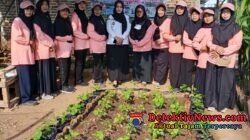 Penilaian BPP KWT Nucager Sukses Optimalkan Lahan Pekarangan, Wujudkan Kemandirian Pangan Nusantara Permai