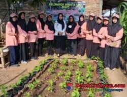 Penilaian BPP KWT Nucager Sukses Optimalkan Lahan Pekarangan, Wujudkan Kemandirian Pangan Nusantara Permai